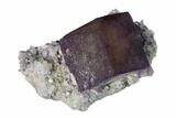 Cubic Purple Fluorite Crystal on Quartz - Yaogangxian Mine #148198-1